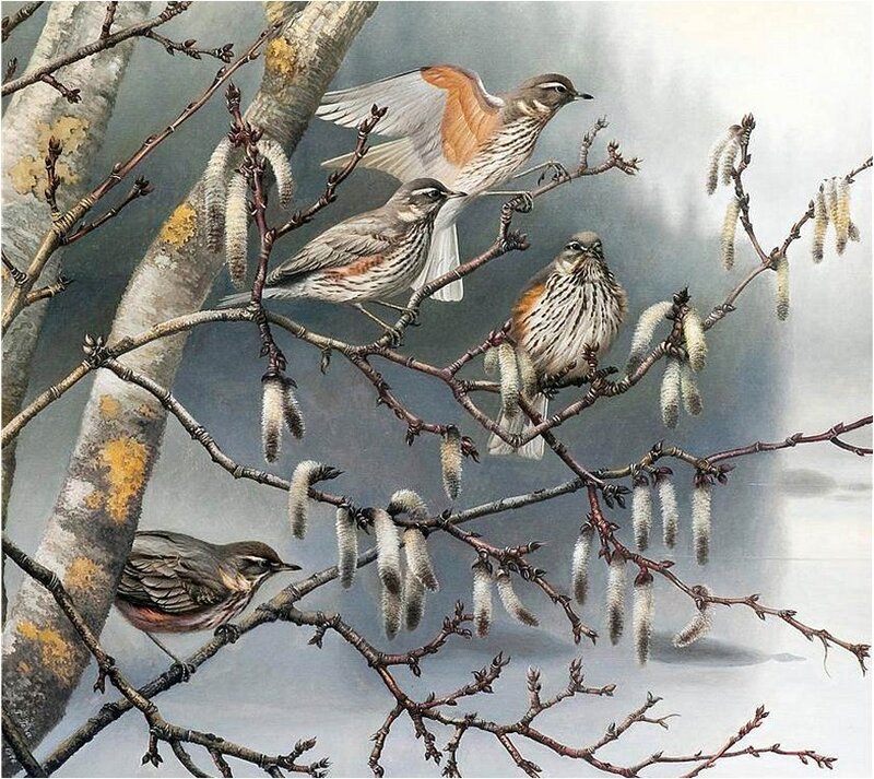 Birds on Tree Branches — Brown