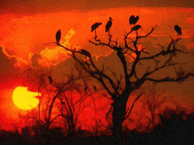 Birds on Tree Branches — Red, Dramatic