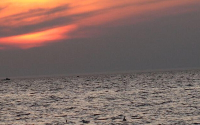Birds on Water at Sunset