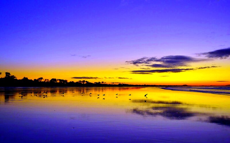Birds on Wet Beach — Blue, Serene