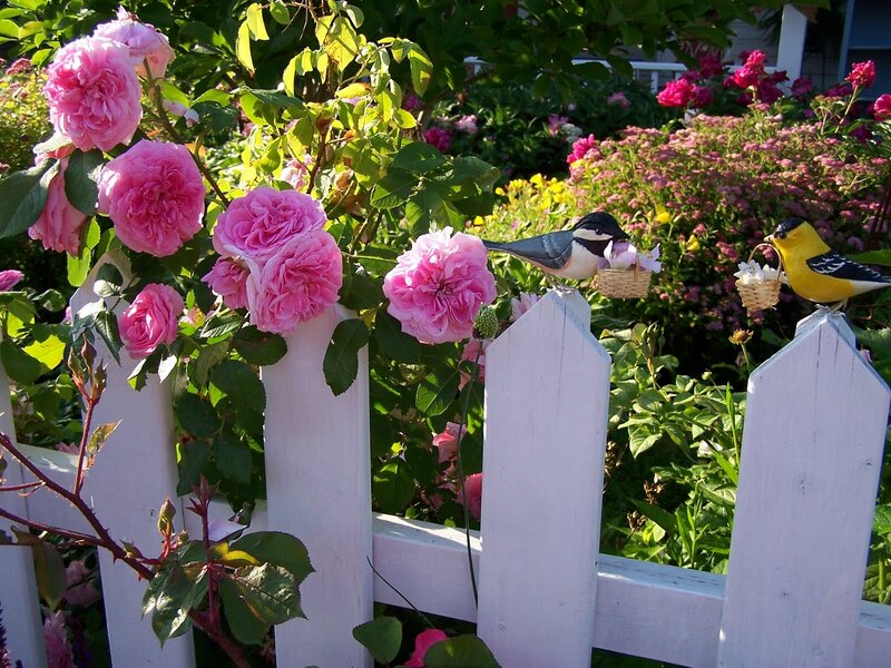 Birds on White Fence