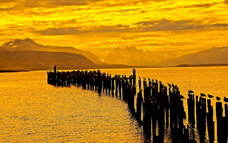 Birds on Wooden Pier