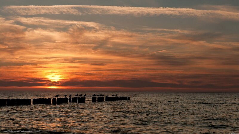 Birds on Wooden Posts — Orange