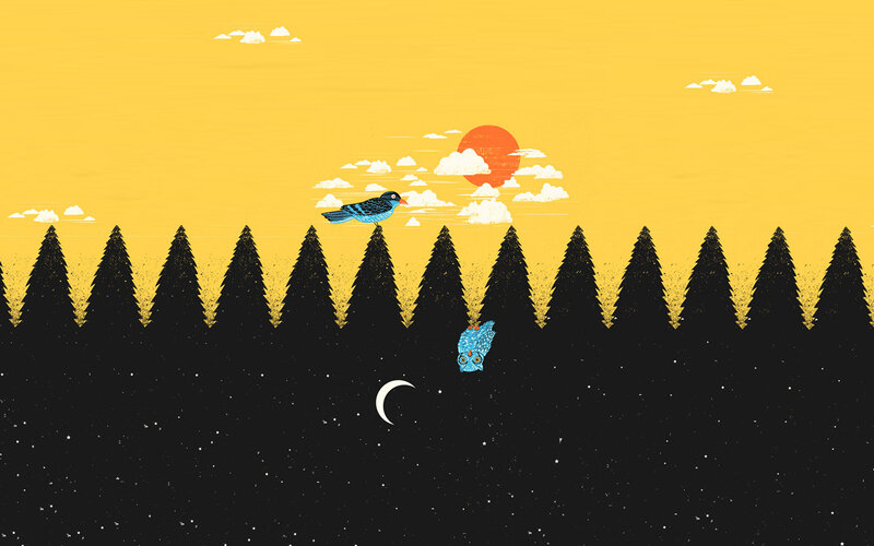 Birds over a forest at sunset