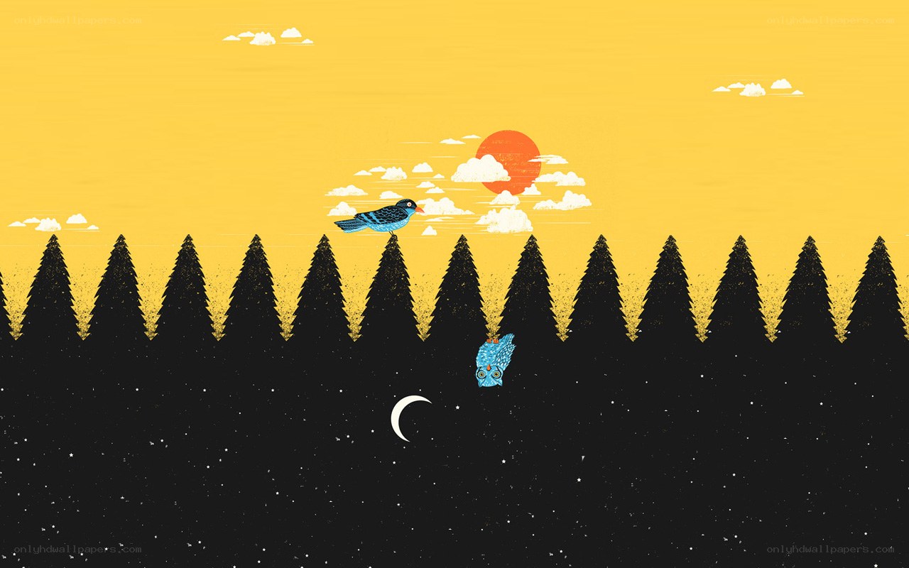 Birds over a forest at sunset