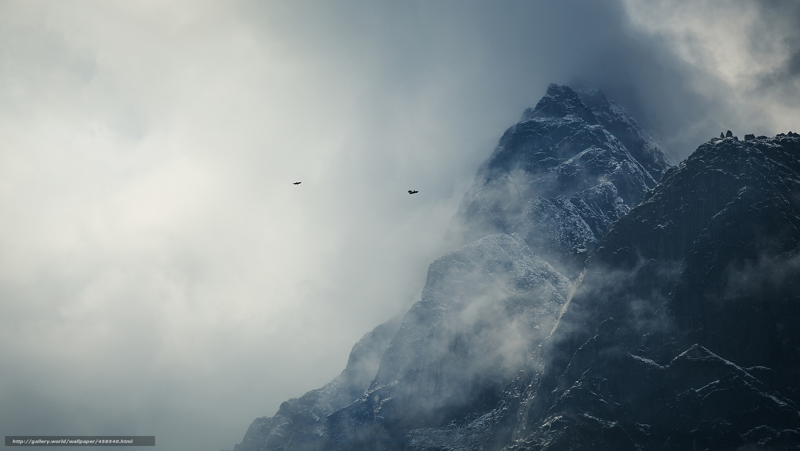 Birds over a misty mountain
