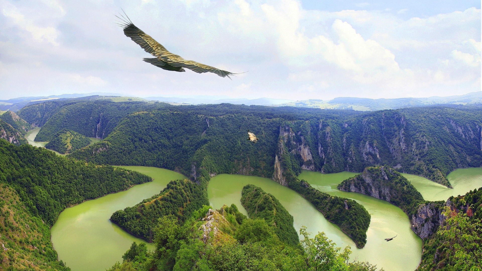 Birds over a winding river canyon
