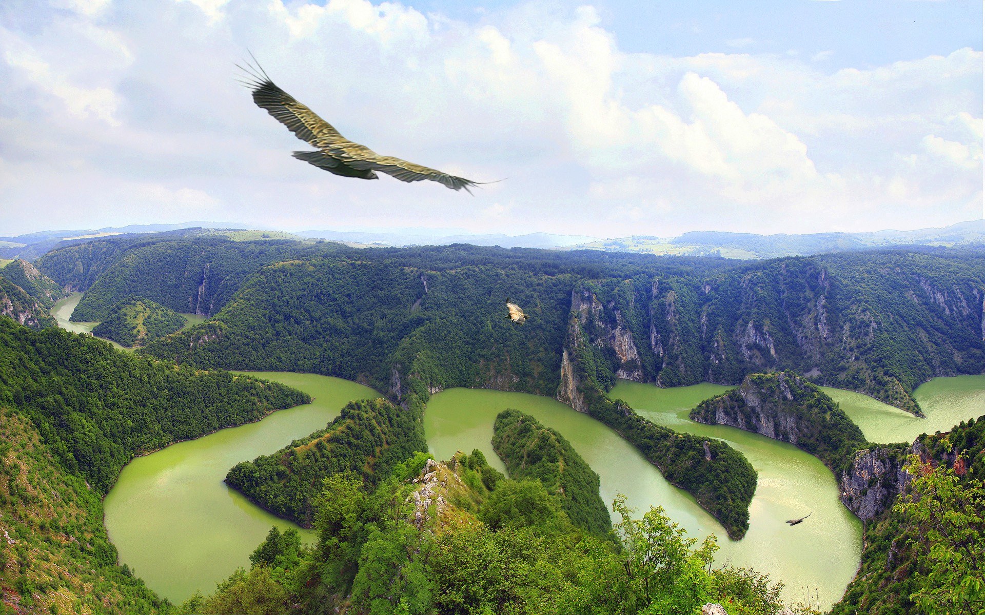 Birds over a winding river canyon