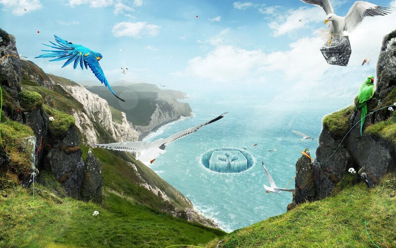 Birds over coastal cliffs