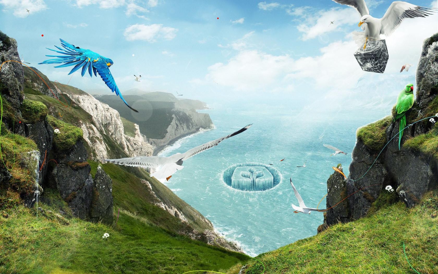 Birds over coastal cliffs