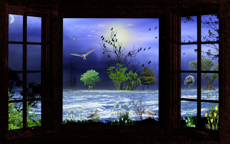 Birds over Flooded Landscape