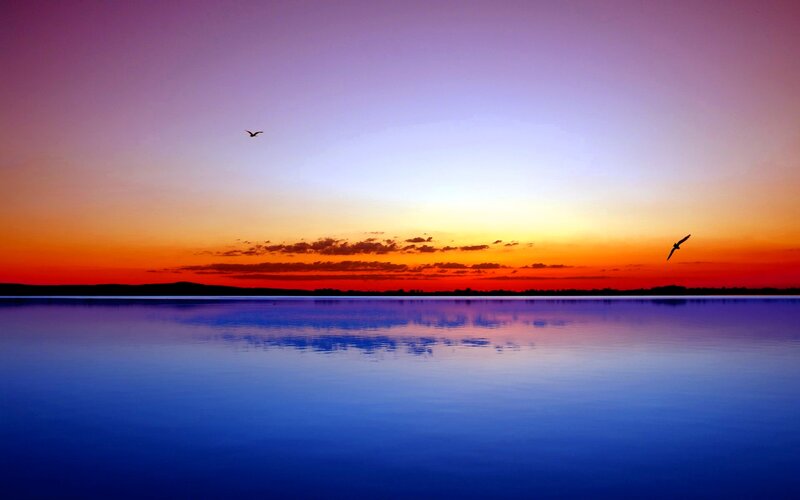 Birds over Lake at Sunset — Blue