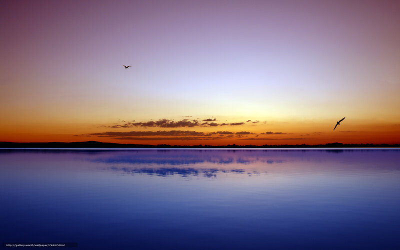 Birds over Lake at Sunset