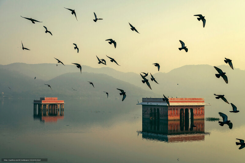 Birds over lake temples