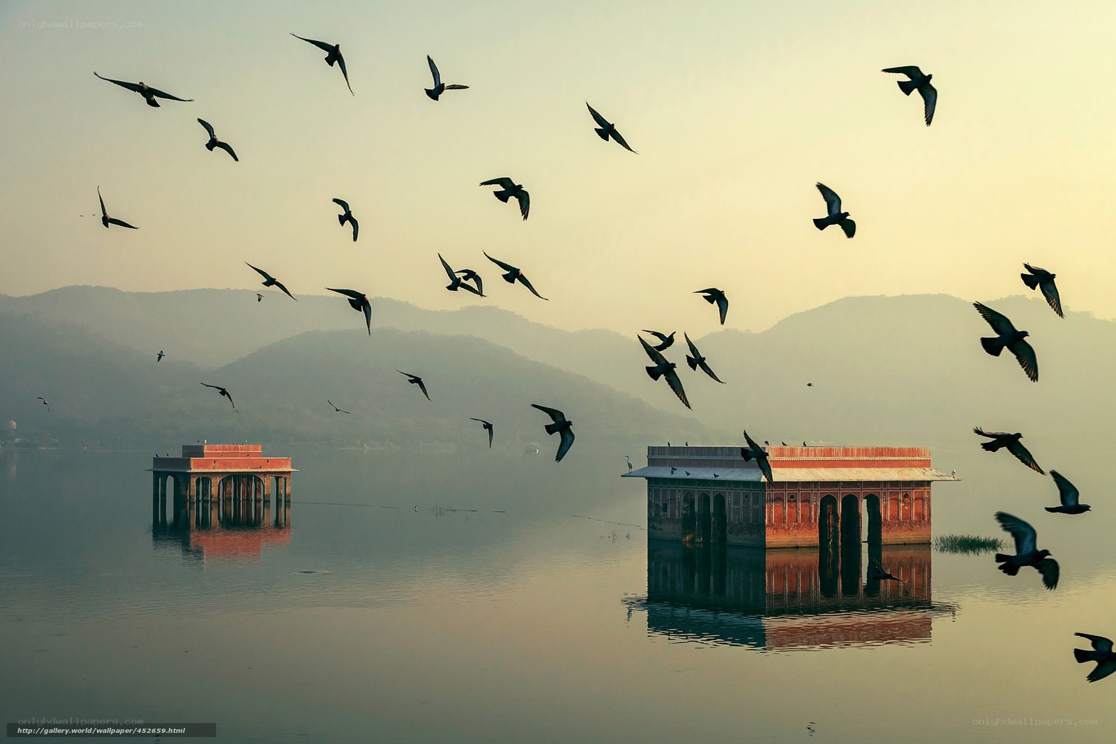 Birds over lake temples