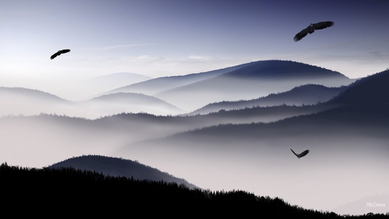 Birds over Misty Mountains — Blue