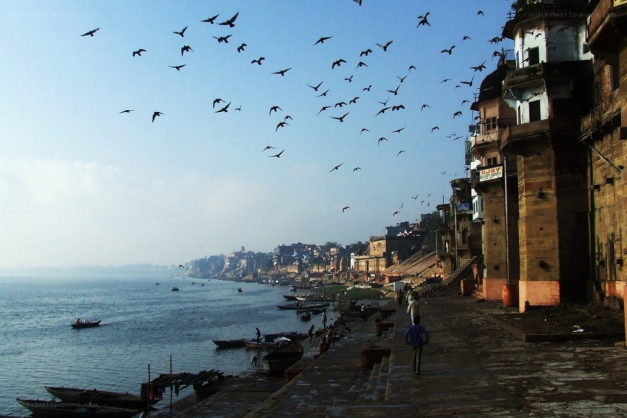 Birds over the river ghat