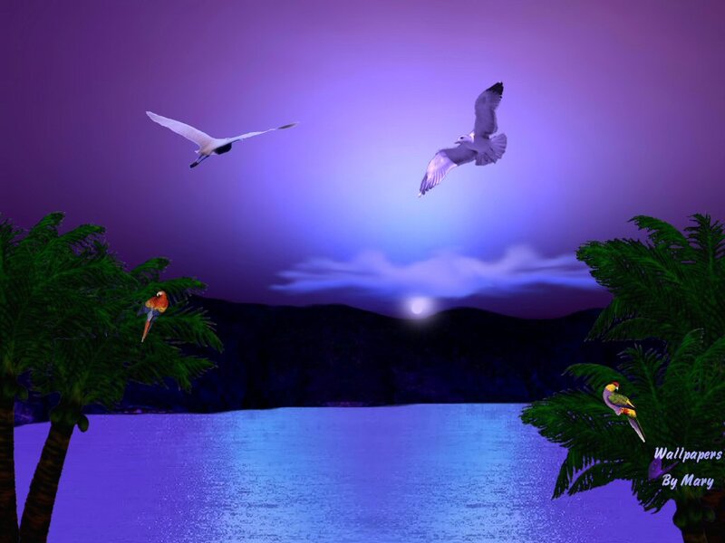 Birds over Water at Dusk