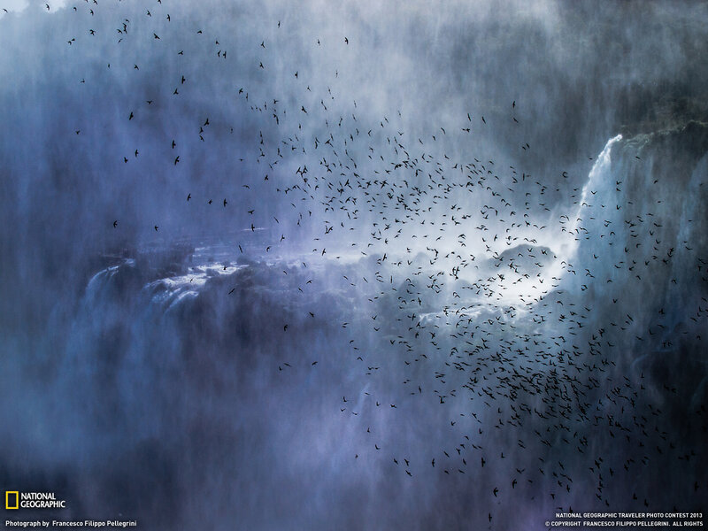 Birds over Waterfall