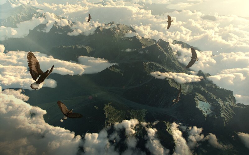Birds soaring over mountains