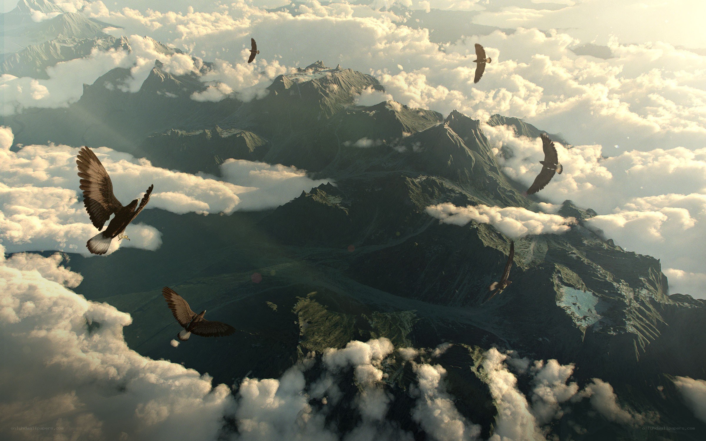 Birds soaring over mountains