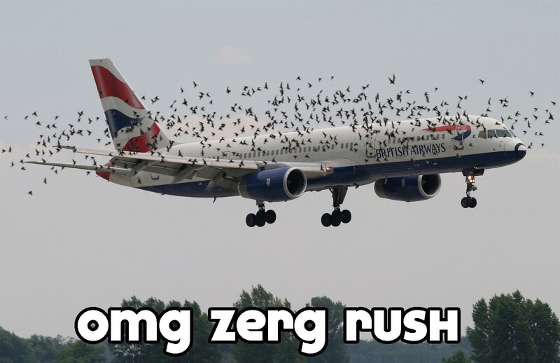 Birds swarm around landing plane