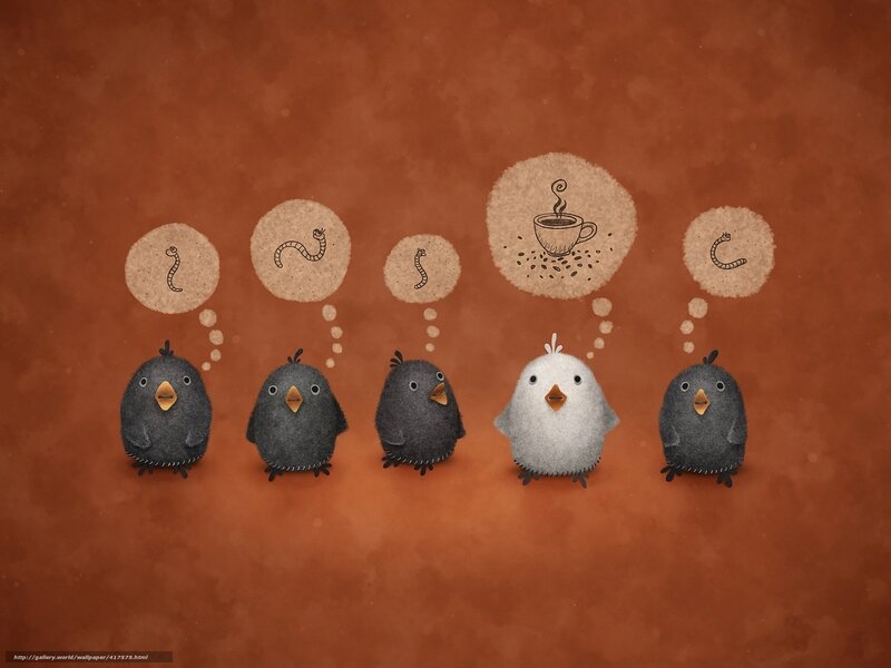 Birds thinking about coffee