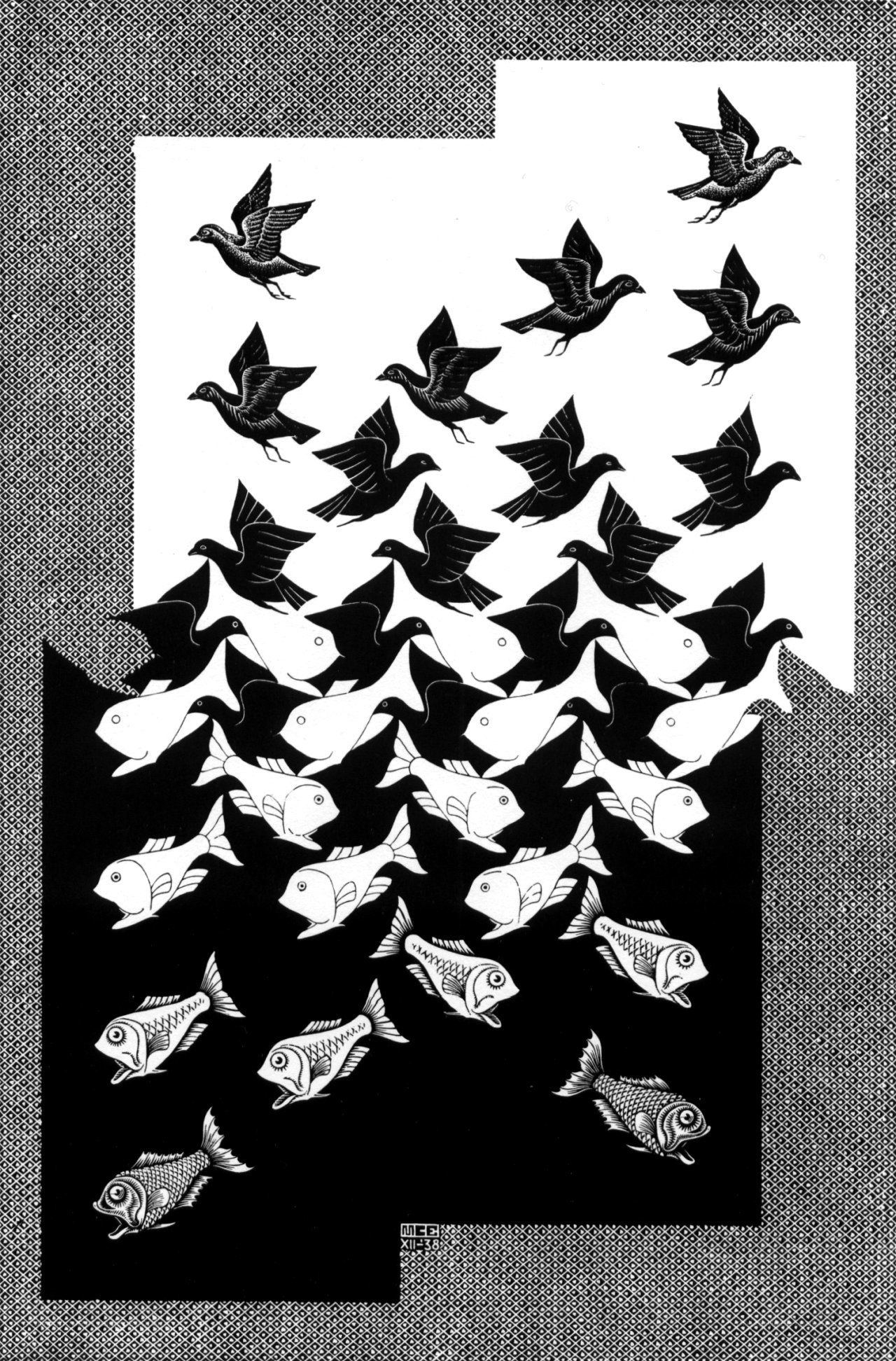 Birds to Fish Optical Illusion
