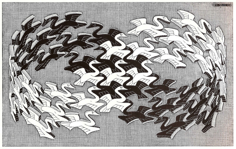 Birds transforming in a Möbius strip