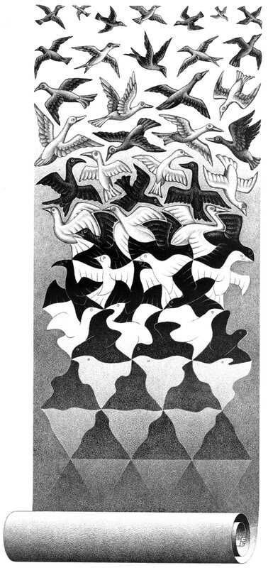 Birds transforming into triangles