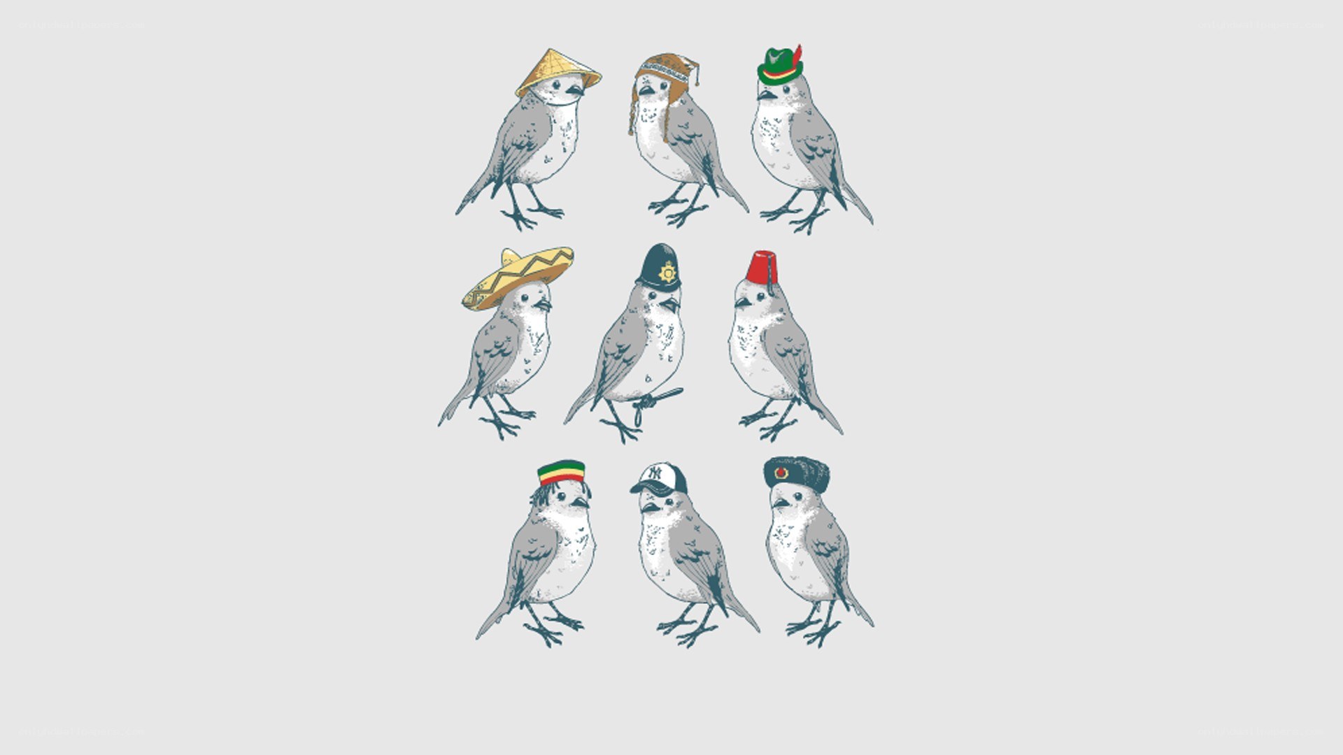 birds wearing hats