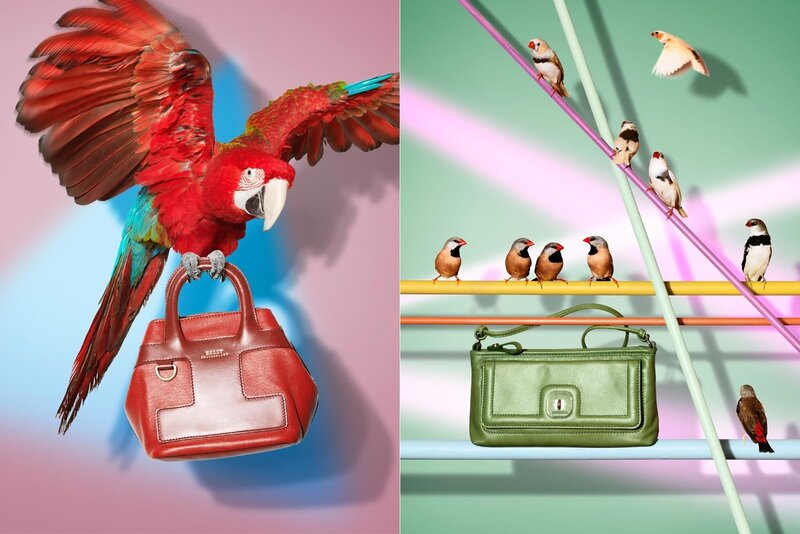Birds with Handbags