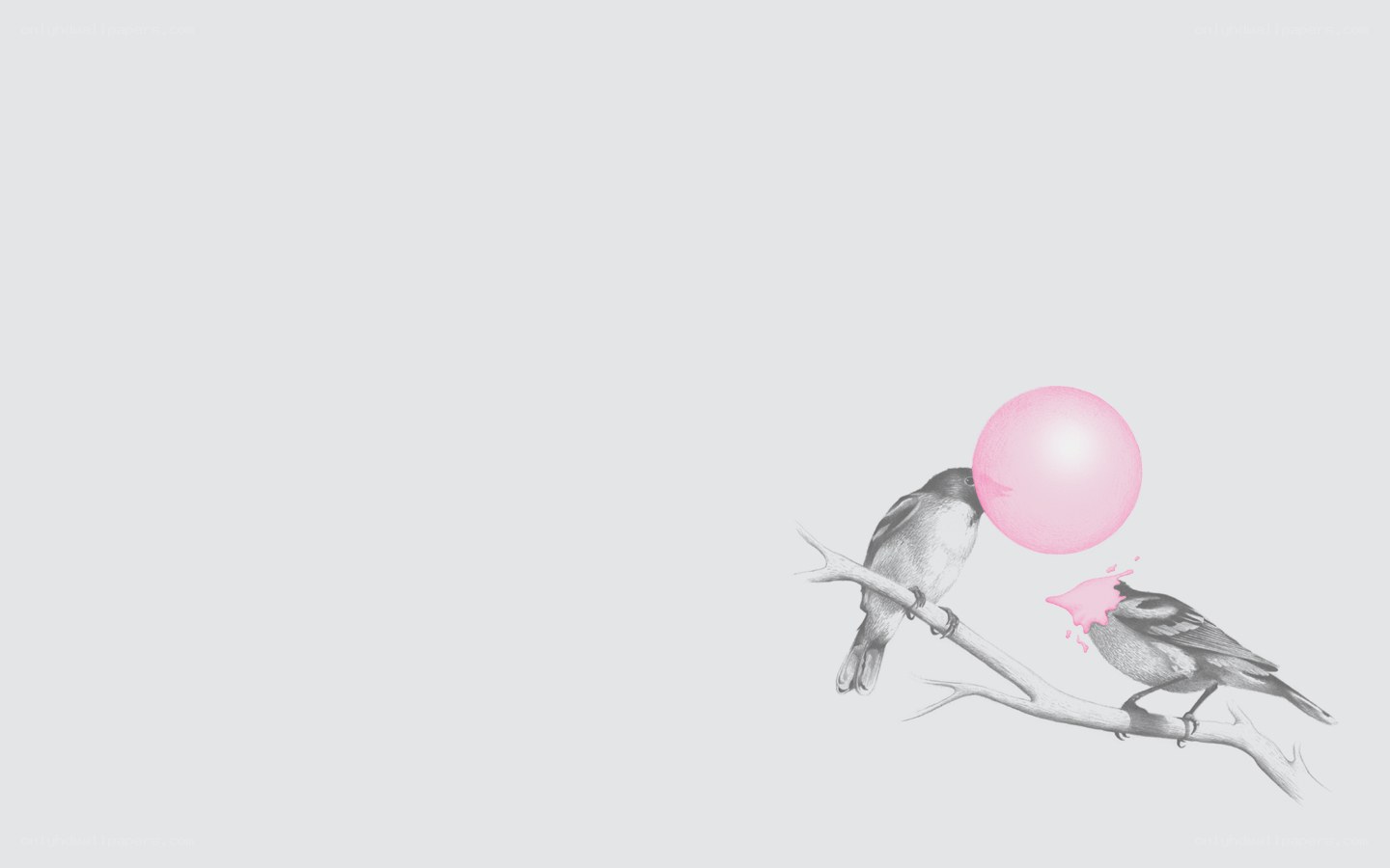 birds with pink bubble gum