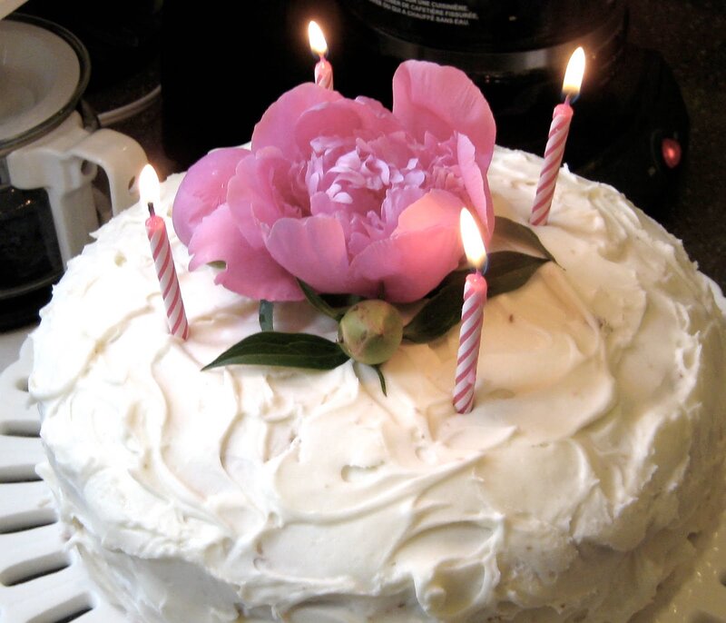 Birthday Cake with Candles — White, Celebratory, Photograph, Flower