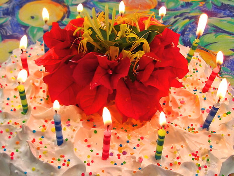 Birthday Cake with Flowers — Red