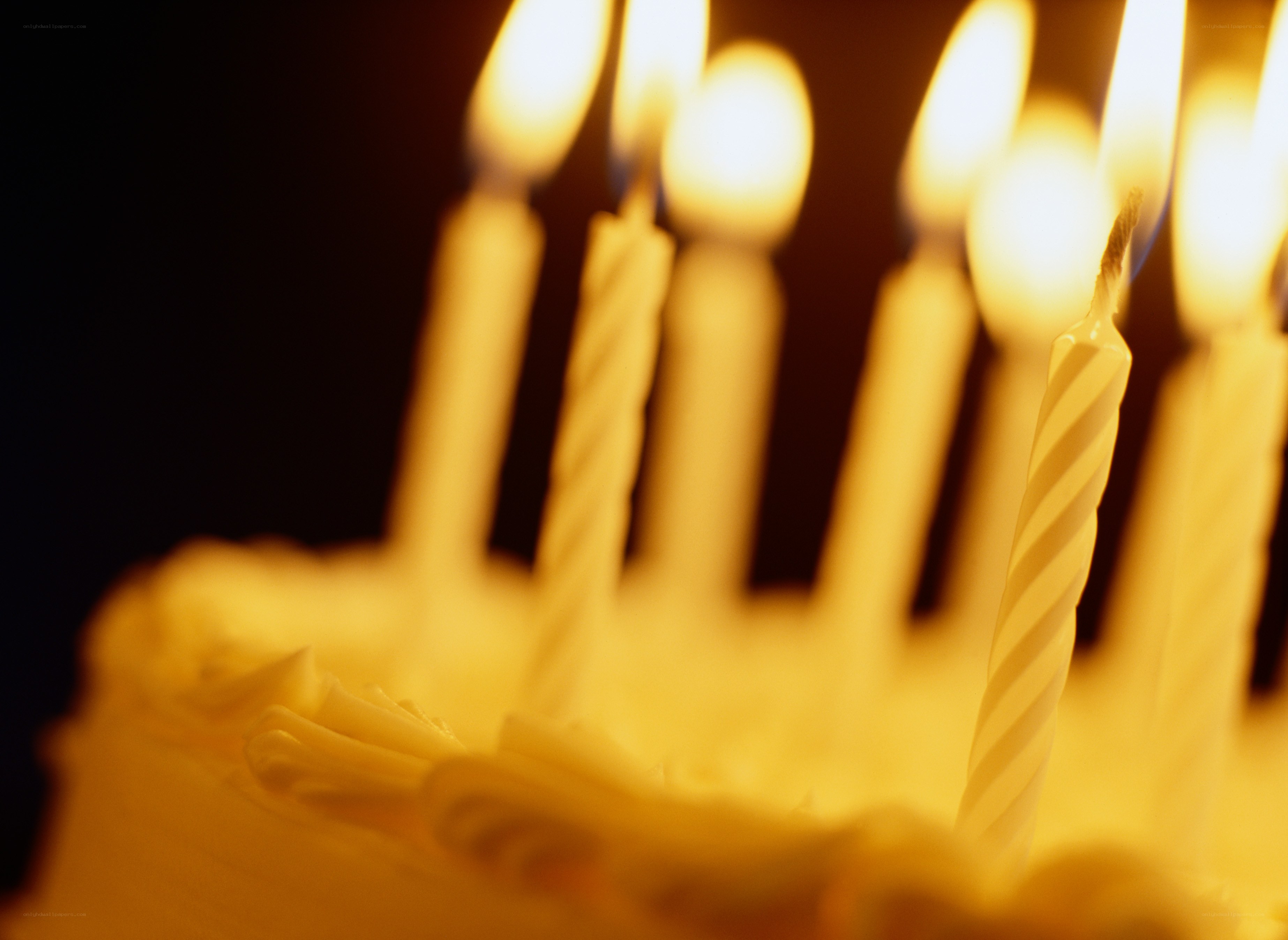 birthday candles on cake