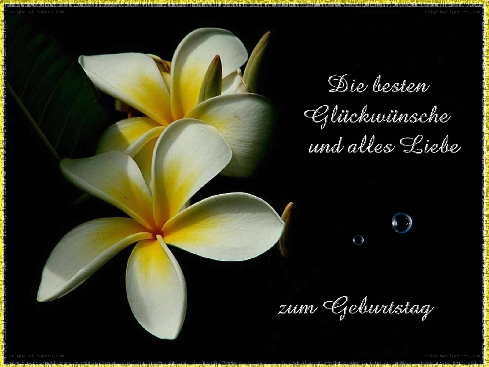 birthday flower greeting