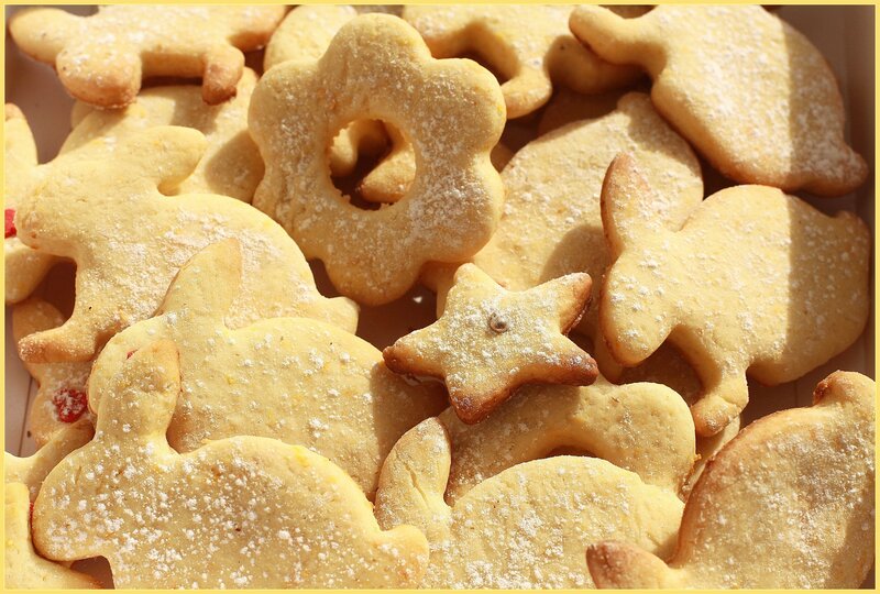Biscuits in Various Shapes