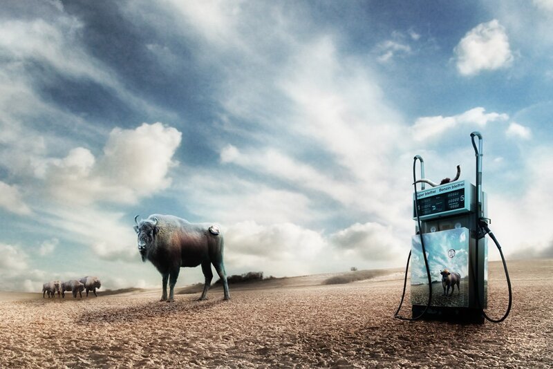 Bison at a gas pump