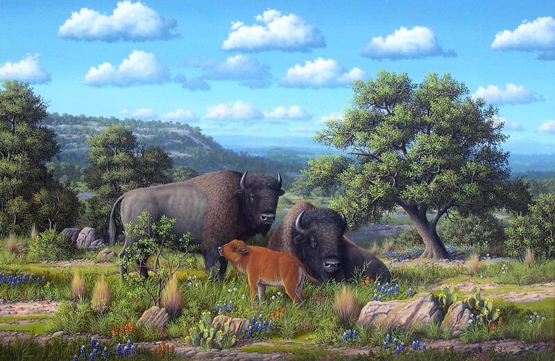 Bison Family in Meadow