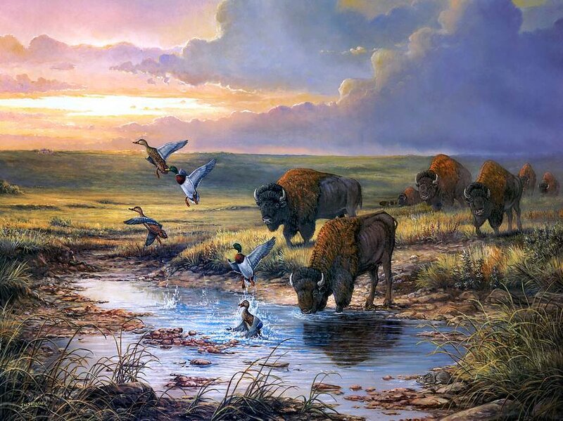 Bison Herd at Waterhole