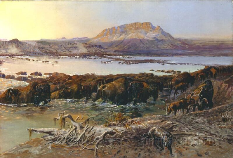 Bison Herd Crossing River — Brown