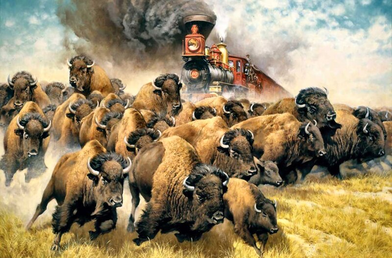 Bison Herd Running — Brown, Dramatic