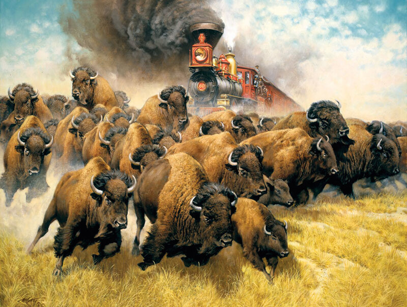 Bison Herd Running — Brown