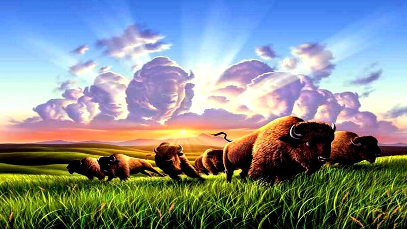 Bison Herd Running — Green