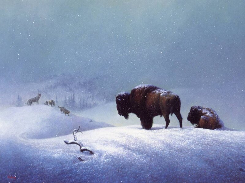 Bison in Snowstorm — Blue