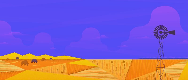 Bison in Wheat Field