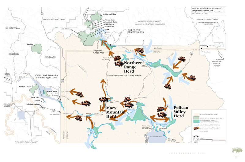 Bison Winter Movements Map