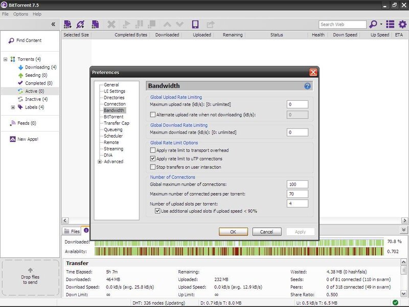 BitTorrent Software Interface