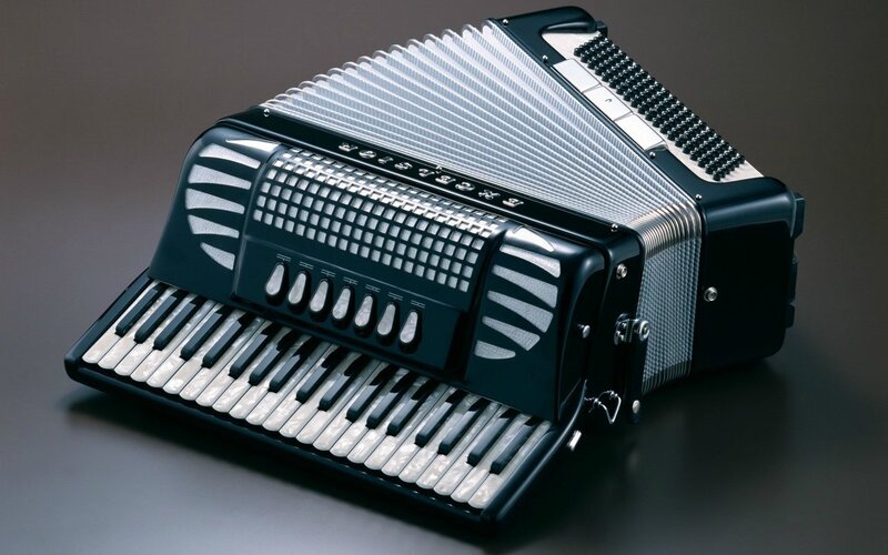 Black Accordion Instrument